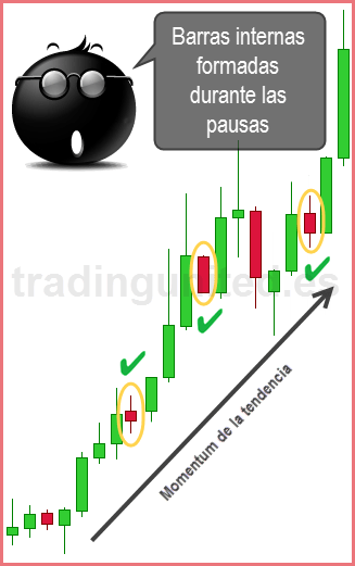 barras internas momentum