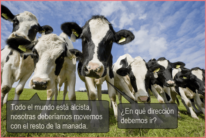 vacas errores en forex