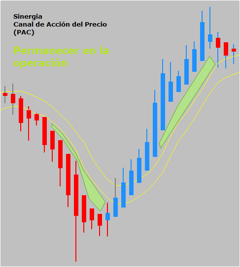 accion del precio sinergia ejemplo10