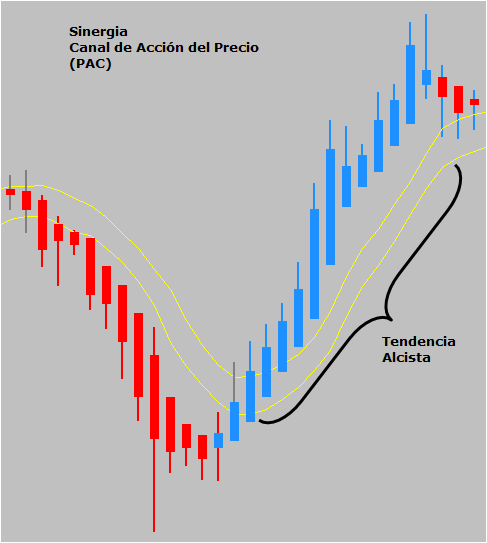 accion del precio sinergia ejemplo9